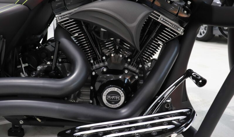 Harley-Davidson Electra Glide Screaming Eagle 110 pieno